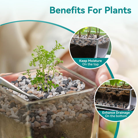 Rahato decorative gravel enhances vases and planters with color and texture.