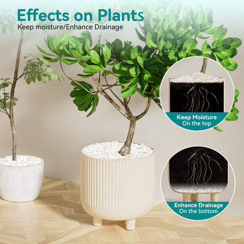 Rahato decorative stones for succulents enhance compact displays with a glossy finish