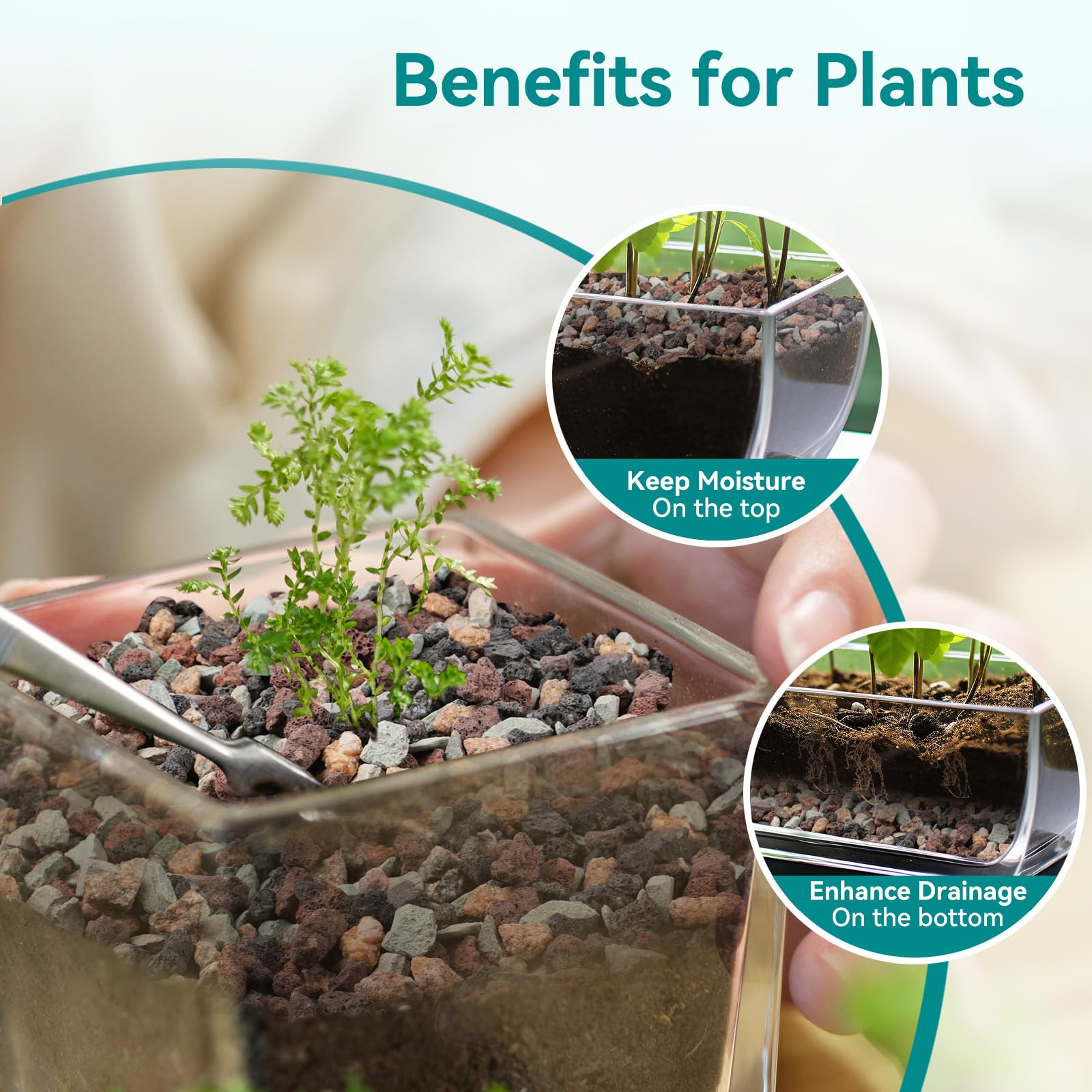 Rahato lava rock mix for succulents supports drainage and aeration in pots.
