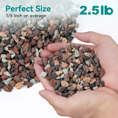 Rahato lava rock mix terrarium decoration and drainage for tiny ecosystems.