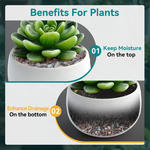 Rahato lava rocks substrate for succulents and cacti