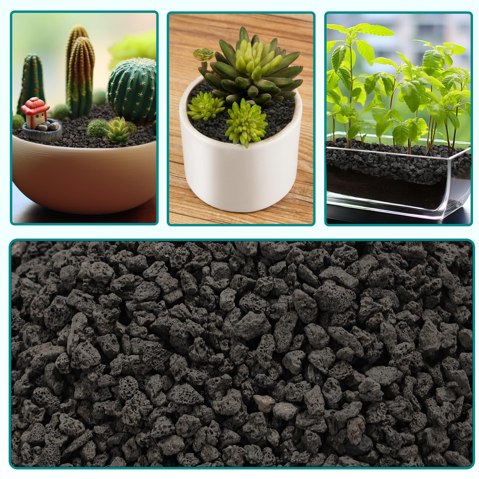 Rahato lava rocks support succulent arrangements with drainage control.