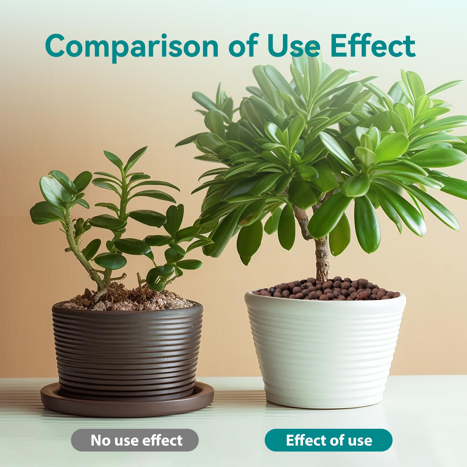 Rahato LECA around orchid roots for healthy root development