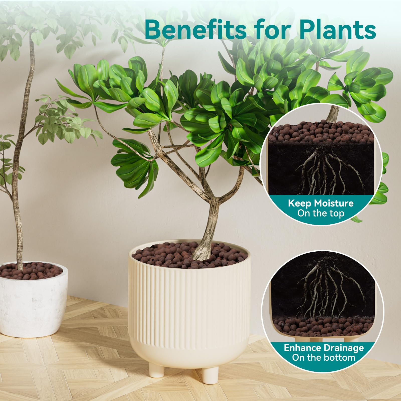 Rahato LECA in potting setup demonstrating soil-free growing media