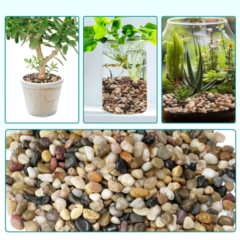 Rahato 2.5 lbs pebbles suit tabletop decor and indoor landscape visuals.