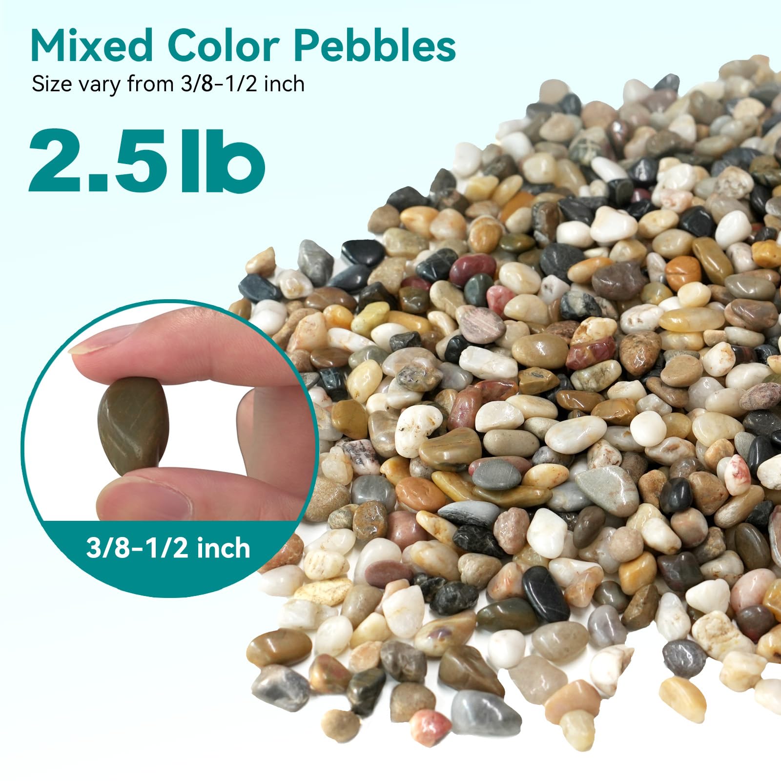 Rahato pebbles add a glossy finish to succulents for elevated displays.