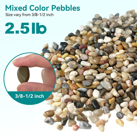 Rahato pebbles add a glossy finish to succulents for elevated displays.
