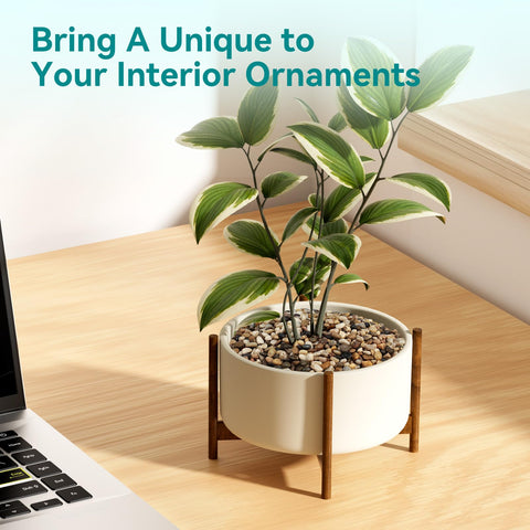 Rahato pebbles support drainage and root health in potted plants.