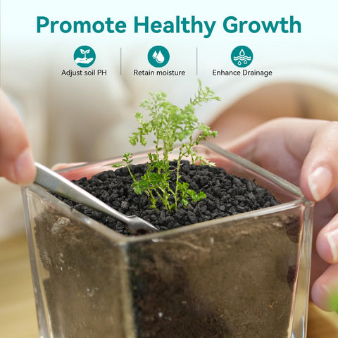Rahato porous lava rocks offer natural aeration for healthy root growth.