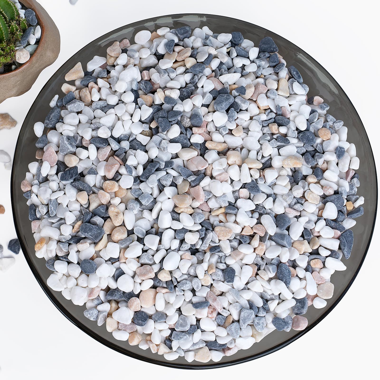 Rahato small rocks for succulents add natural texture and improved drainage.