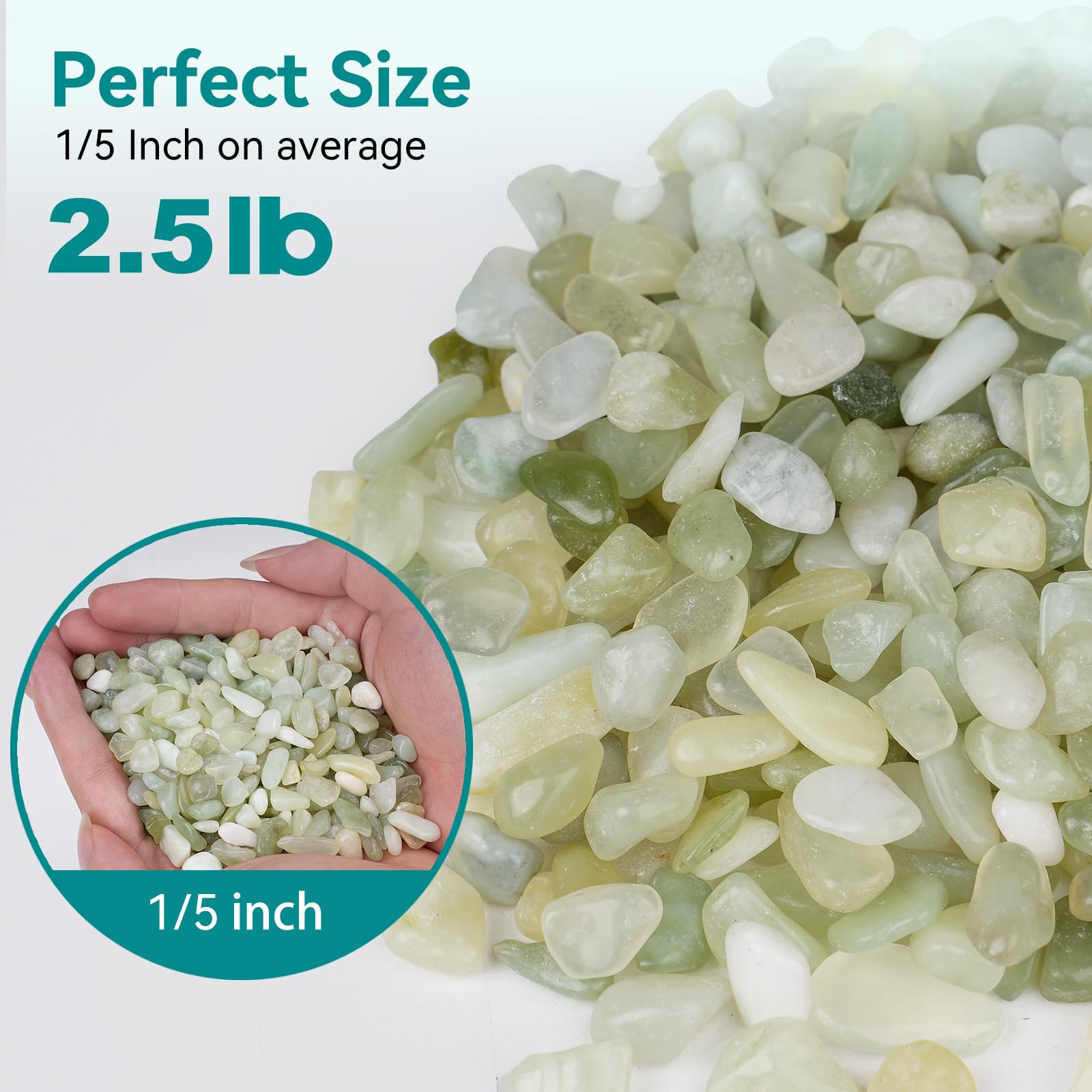 Rahato succulent and cactus pebbles improve drainage in containers.