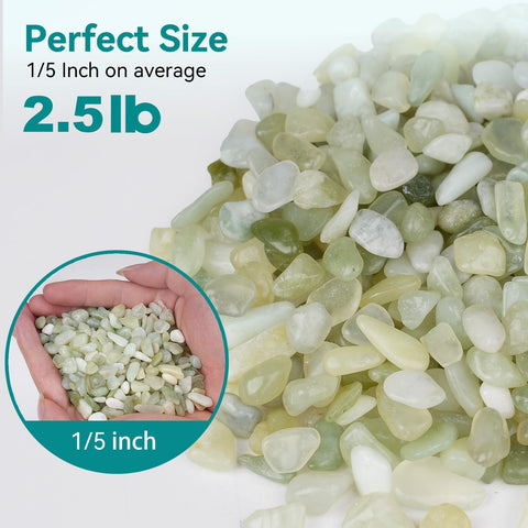 Rahato succulent and cactus pebbles improve drainage in containers.