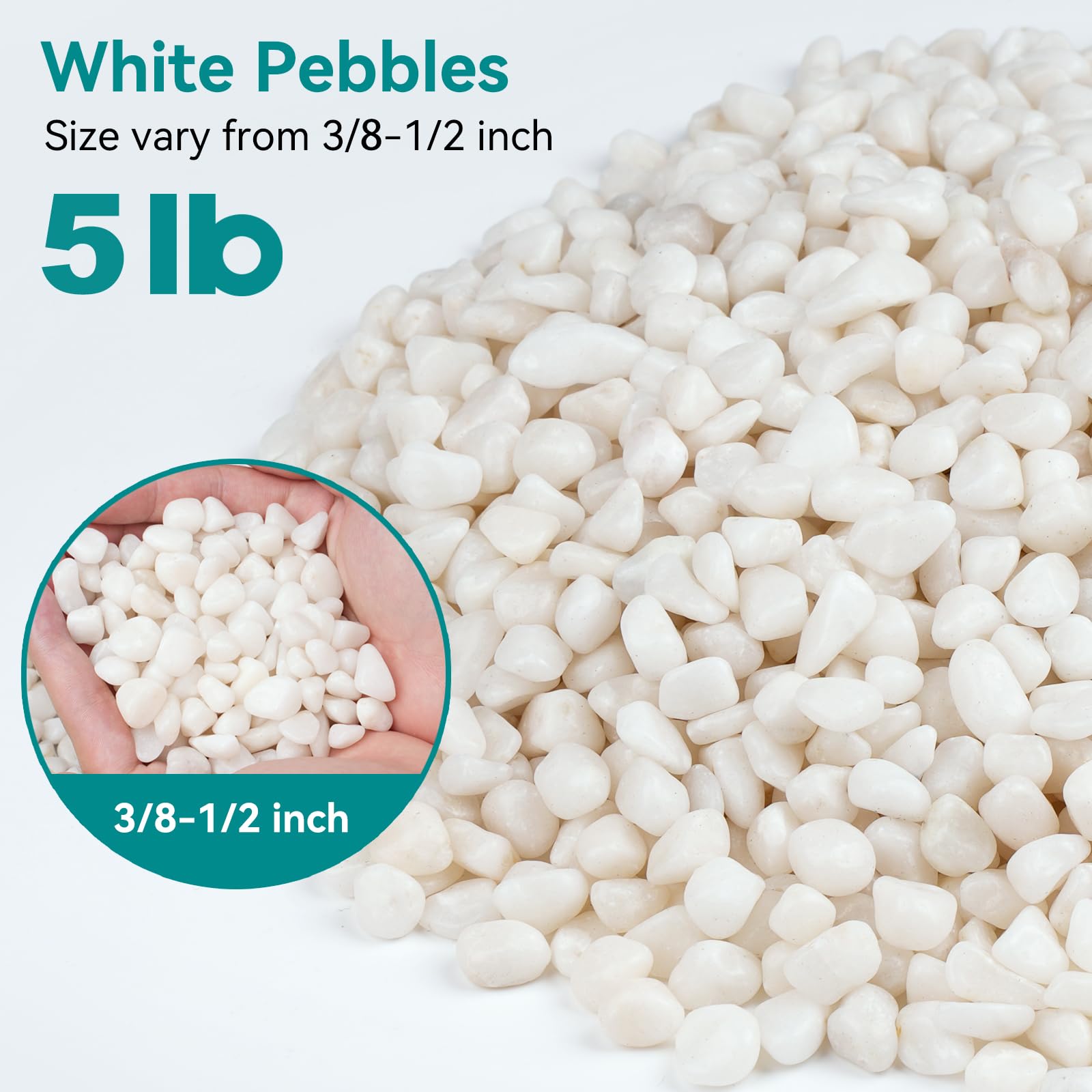 Rahato white pebbles for vases create a clean backdrop for arrangements