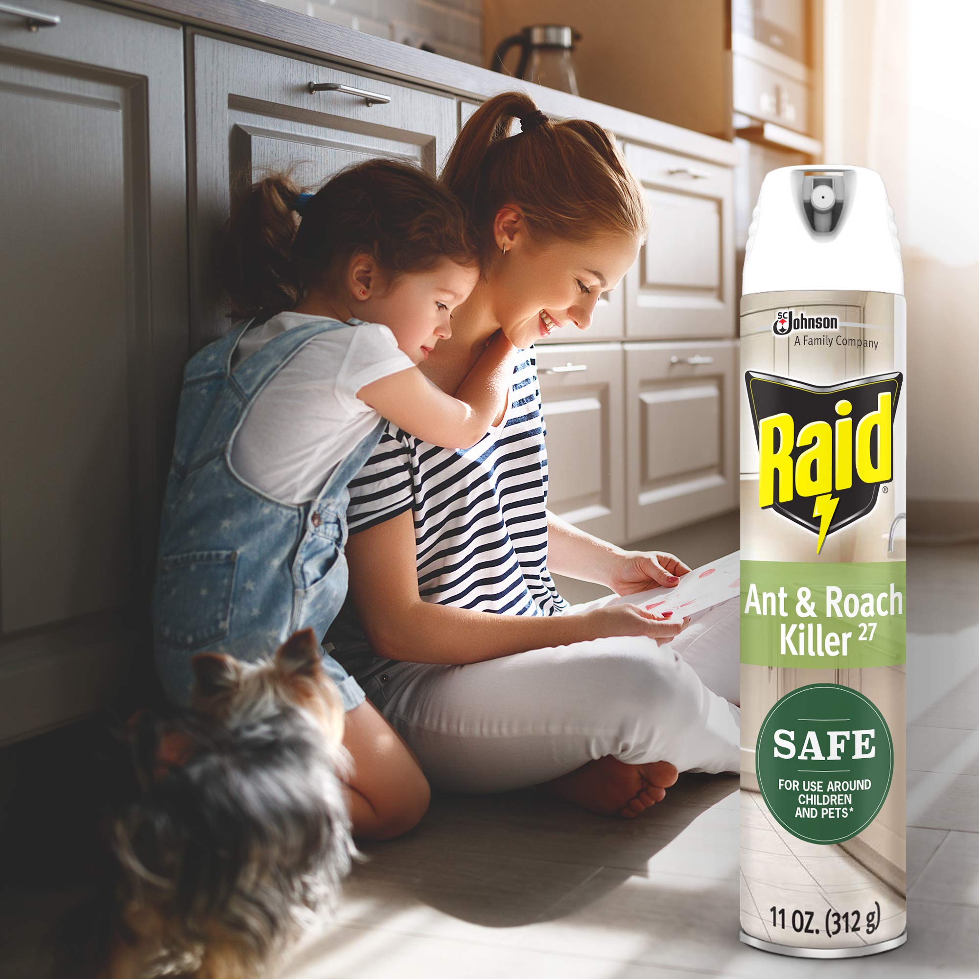 Raid 11-ounce pack image ready for household use.