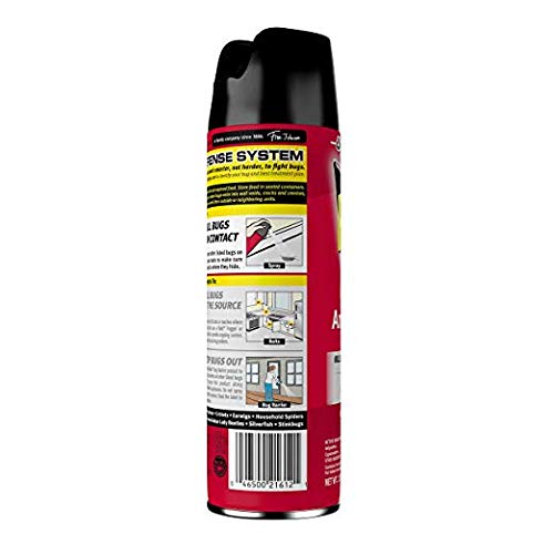 12-pack Raid display highlighting value for indoor pest control in store.