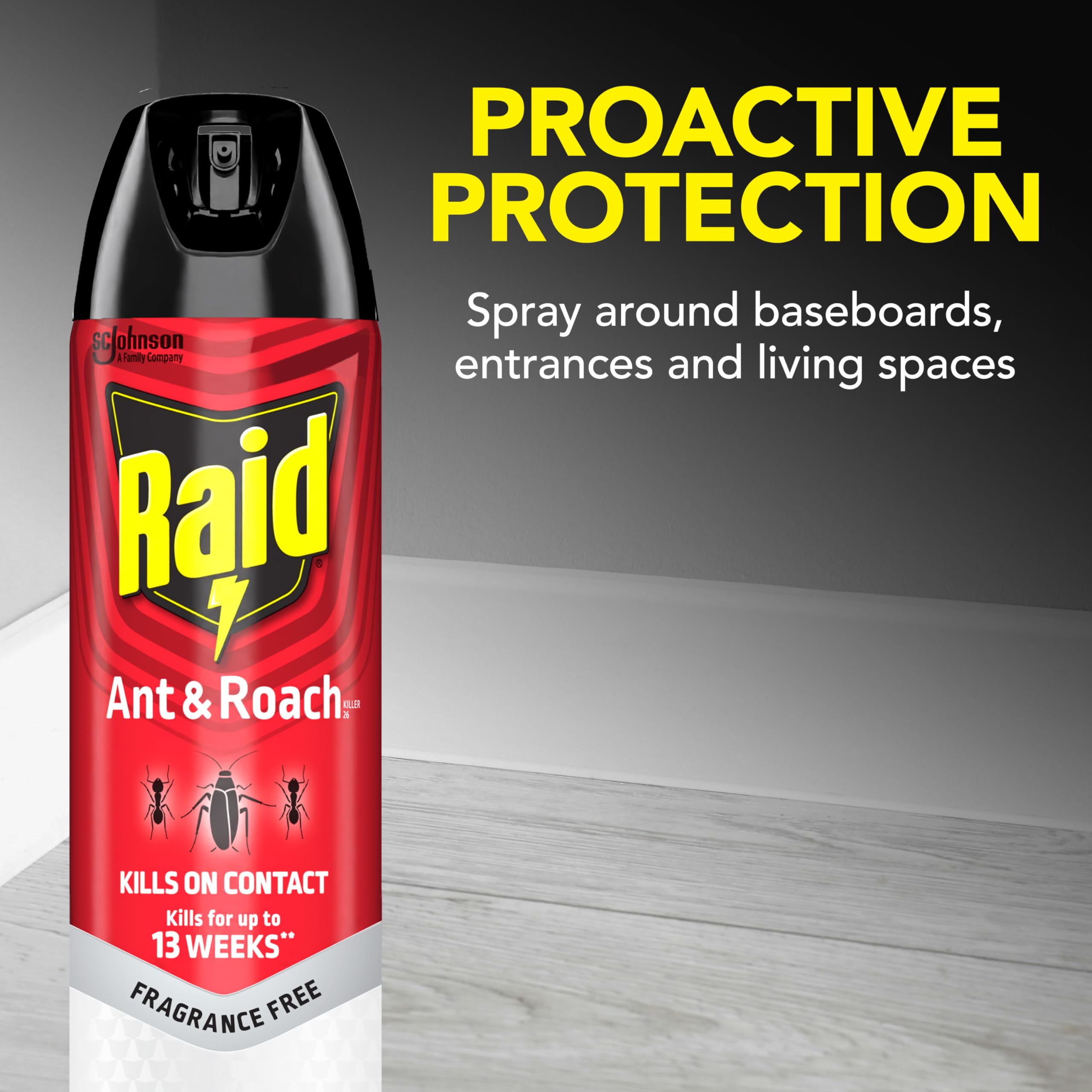 Raid Ant & Roach Killer 26 bottle side view emphasizes packaging for home use