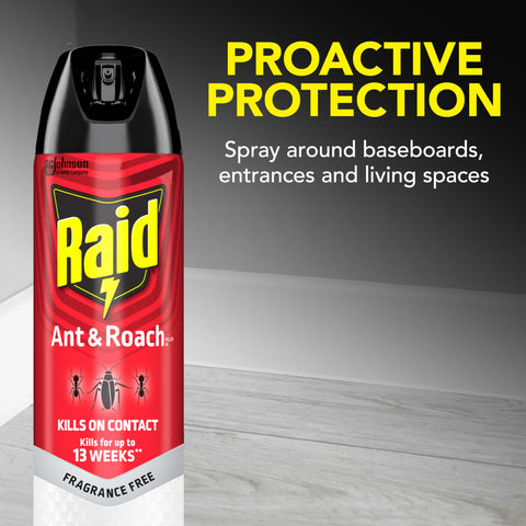 Raid Ant & Roach Killer 26 bottle side view emphasizes packaging for home use