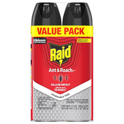 Raid Ant & Roach Killer 26 easy-to-use spray for quick spots