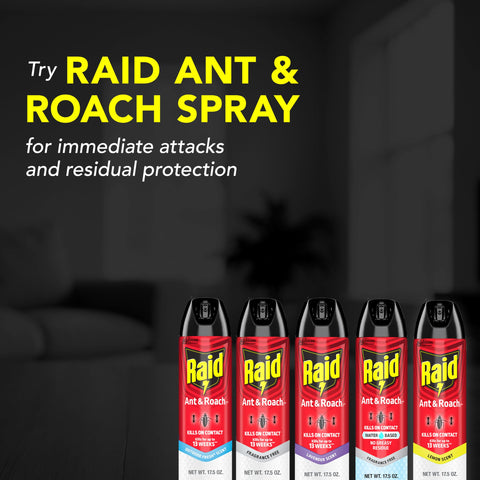 Raid Ant & Roach Killer 26 kills ants and other listed pests
