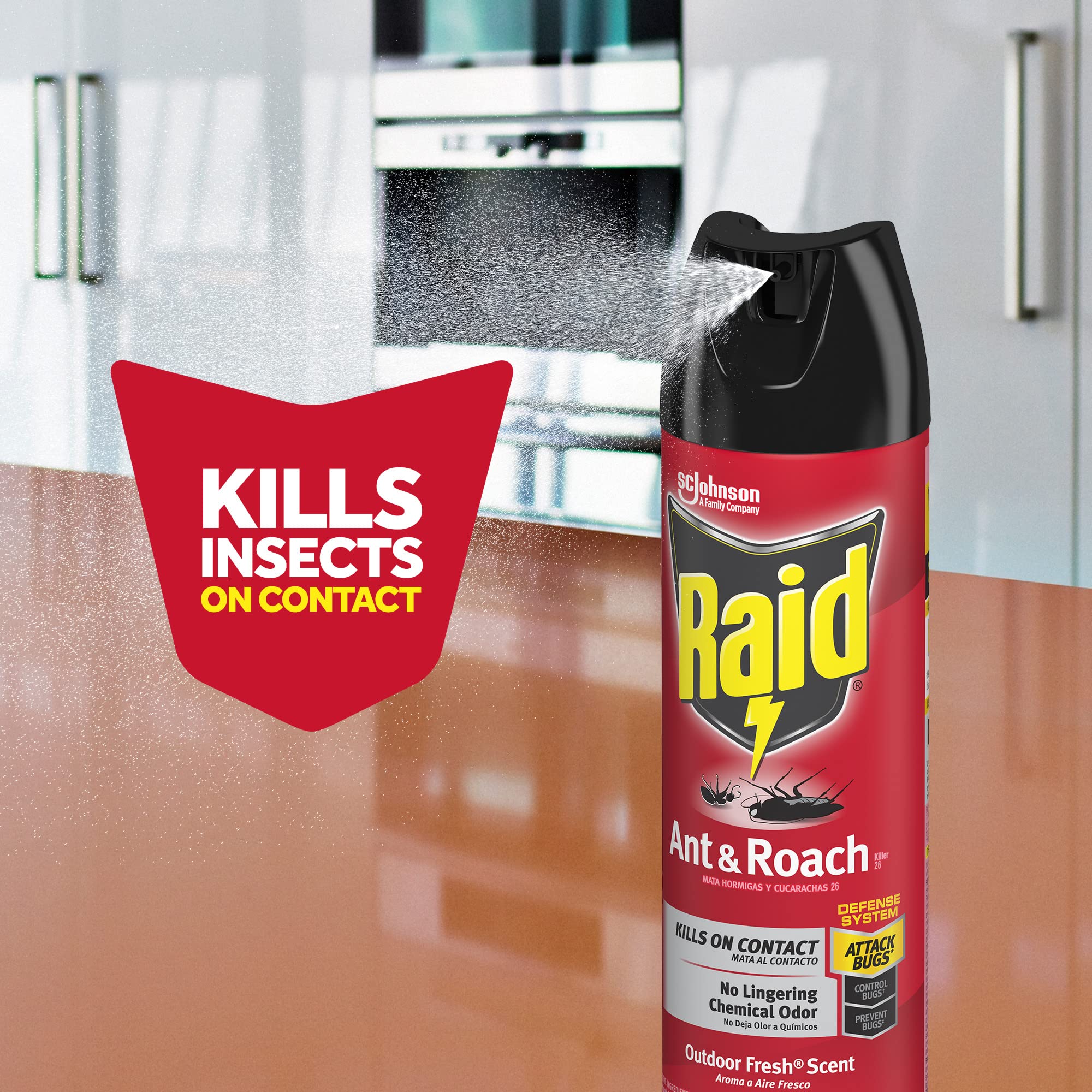 Raid spray label closeup showing targets and usage for home use.