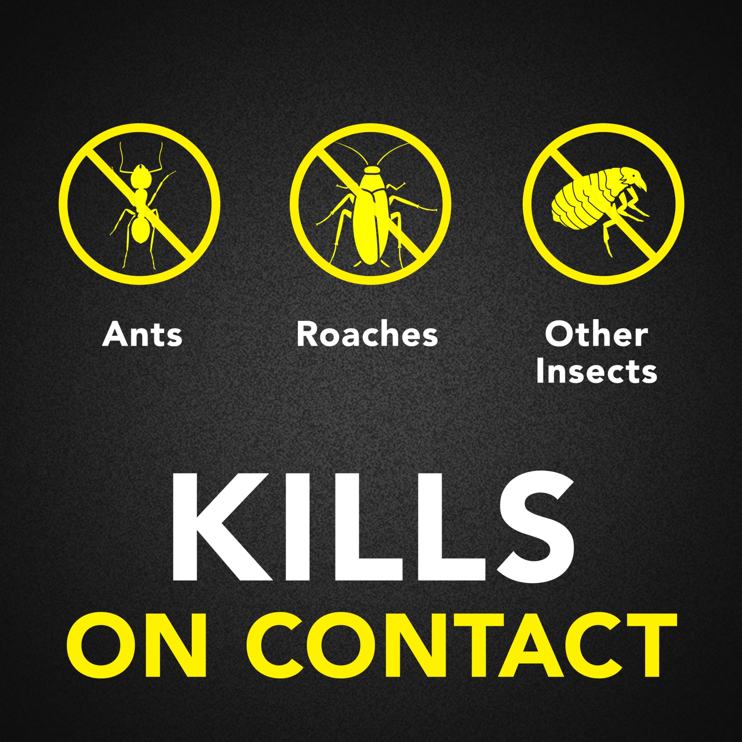 Raid ant & roach killer spray bottle in use.
