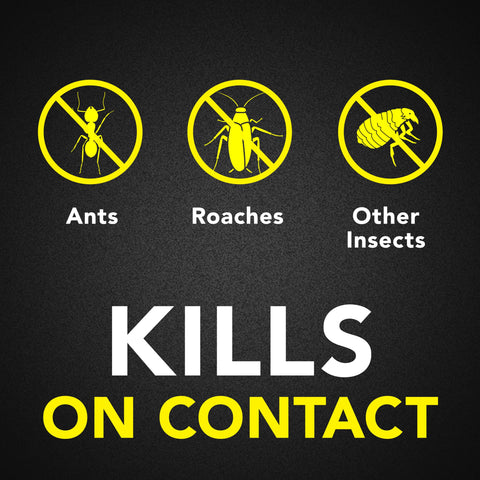 Raid ant & roach killer spray bottle in use.