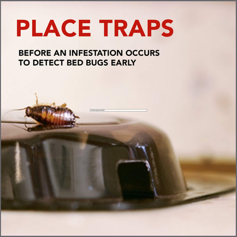 Raid disposable detector enables easy disposal after detecting bed bugs.