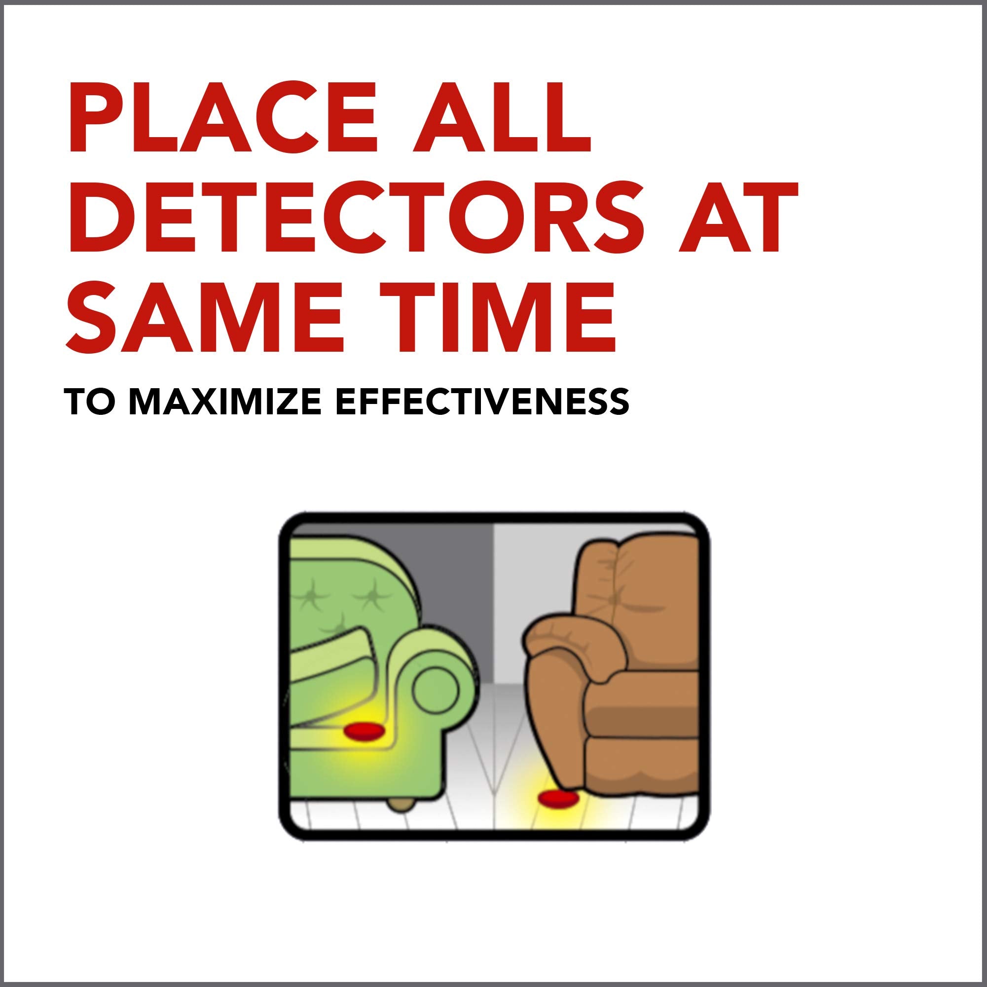 Raid bed bug detector trap easy to dispose after monitoring in indoor spaces