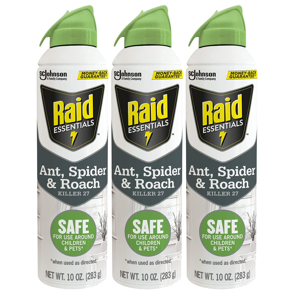 Raid Essentials ant killer aerosol targets ants quickly, ideal for kitchens and entryways.