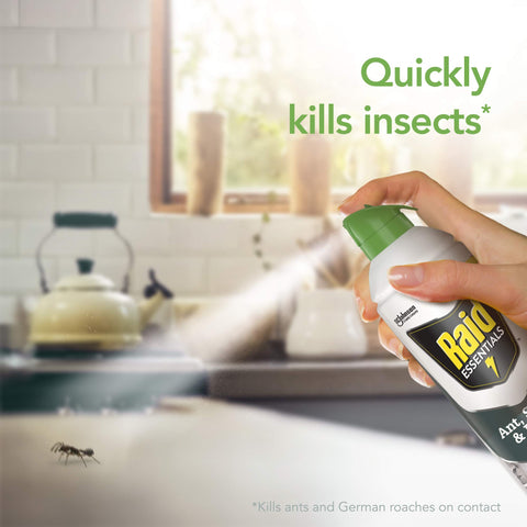 Raid Essentials crawl-insect killer aerosol covers broader indoor pest problems.