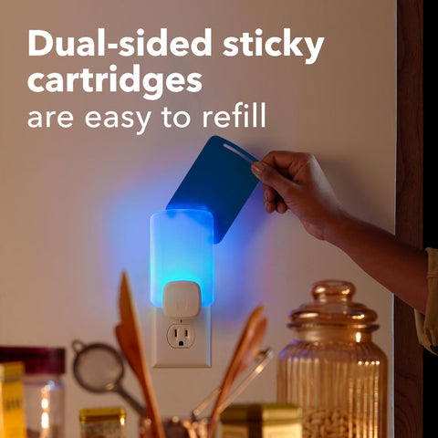 Raid Essentials Flying Insect Light Trap cartridge close-up with adhesive surface.
