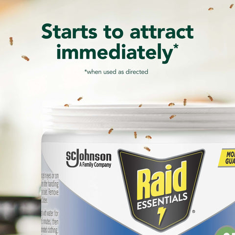 Raid Essentials fruit fly trap on table blends with decor while catching fruit flies.