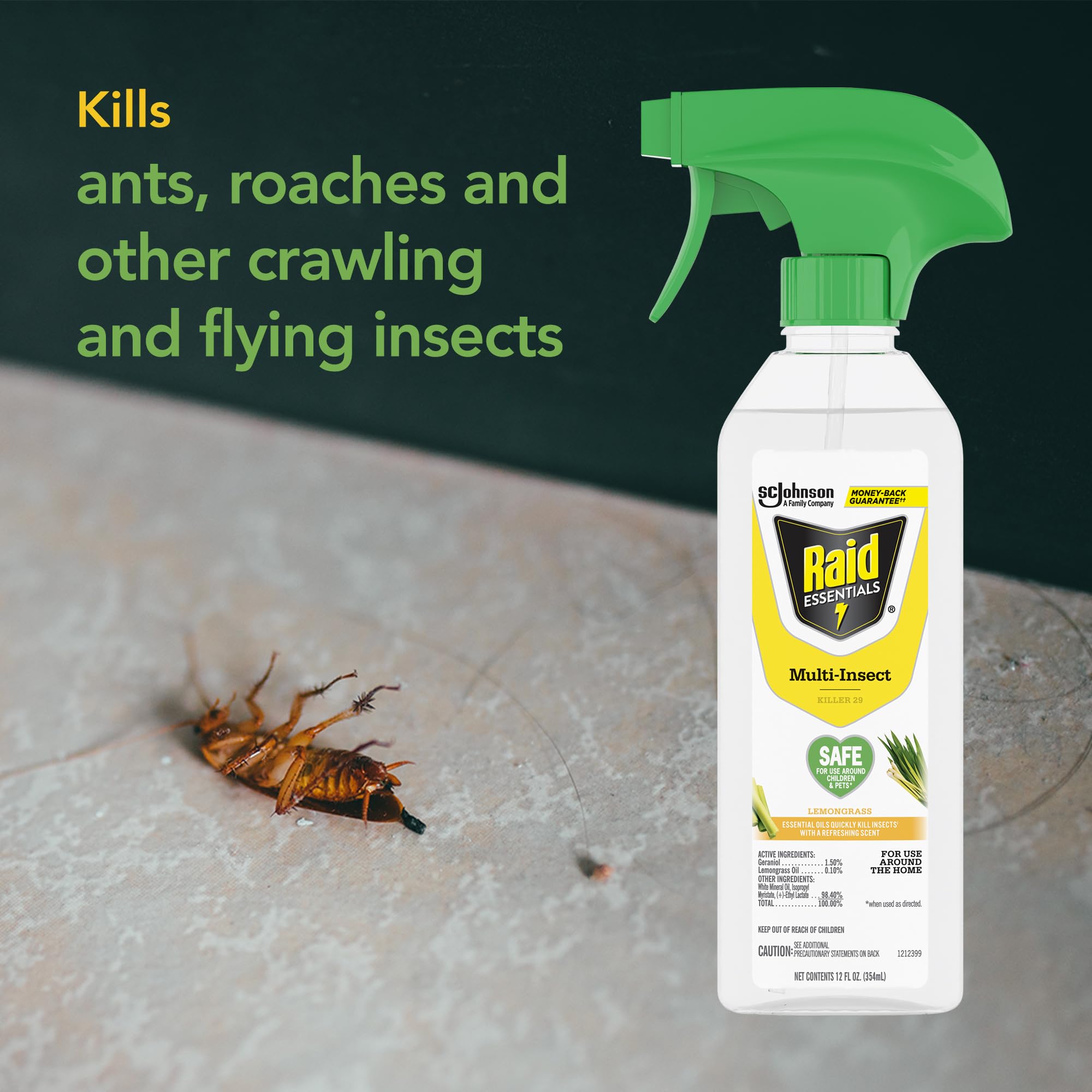 Raid Essentials indoor-use scene illustrates safe home pest protection.