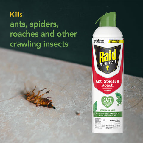 Family-friendly Raid Essentials used safely around kids and pets