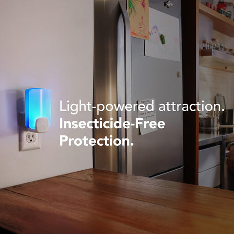 Raid Essentials plug-in light-trap unit with refill for room-ready pest control.