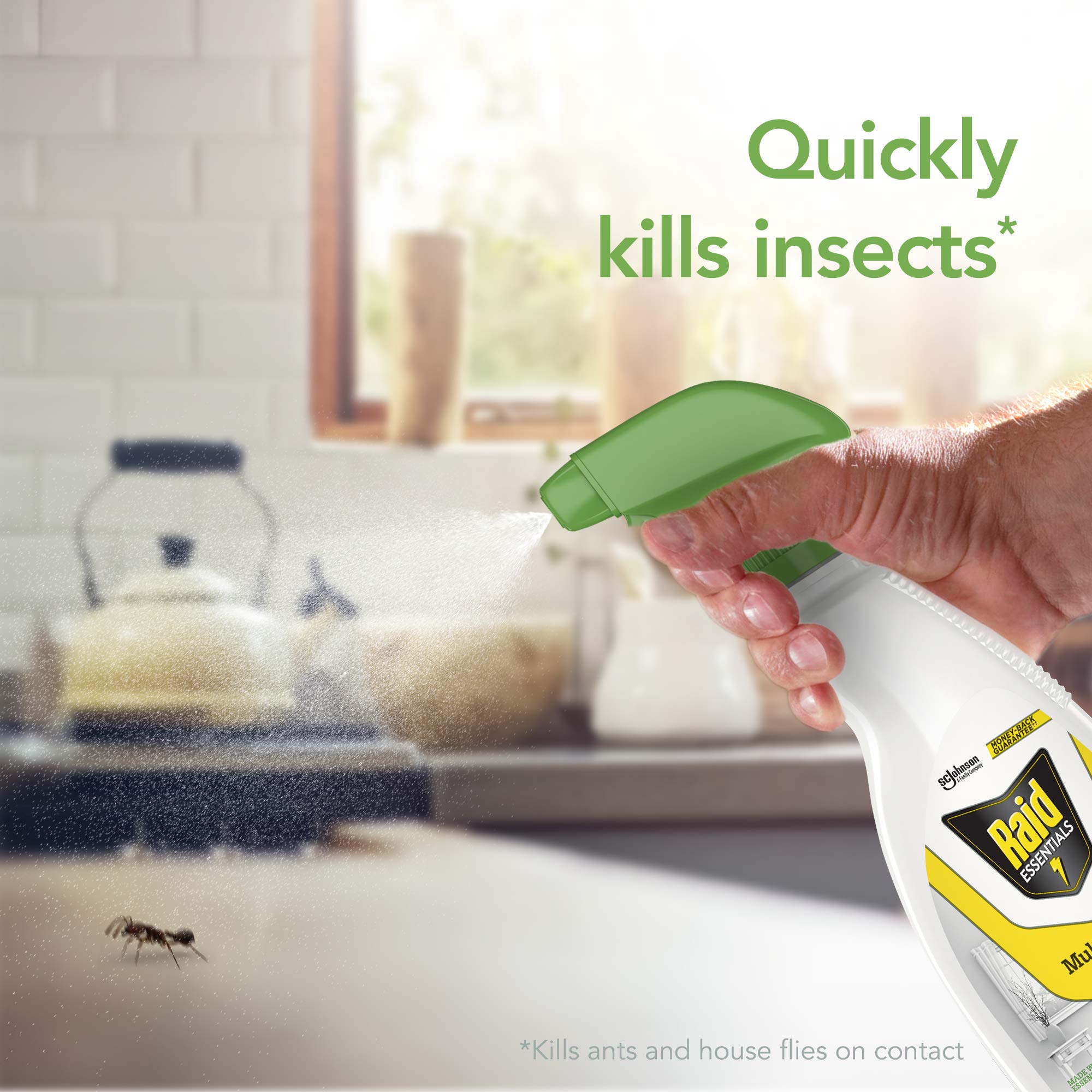 Raid Essentials plant-based formula targets common indoor pests effectively.