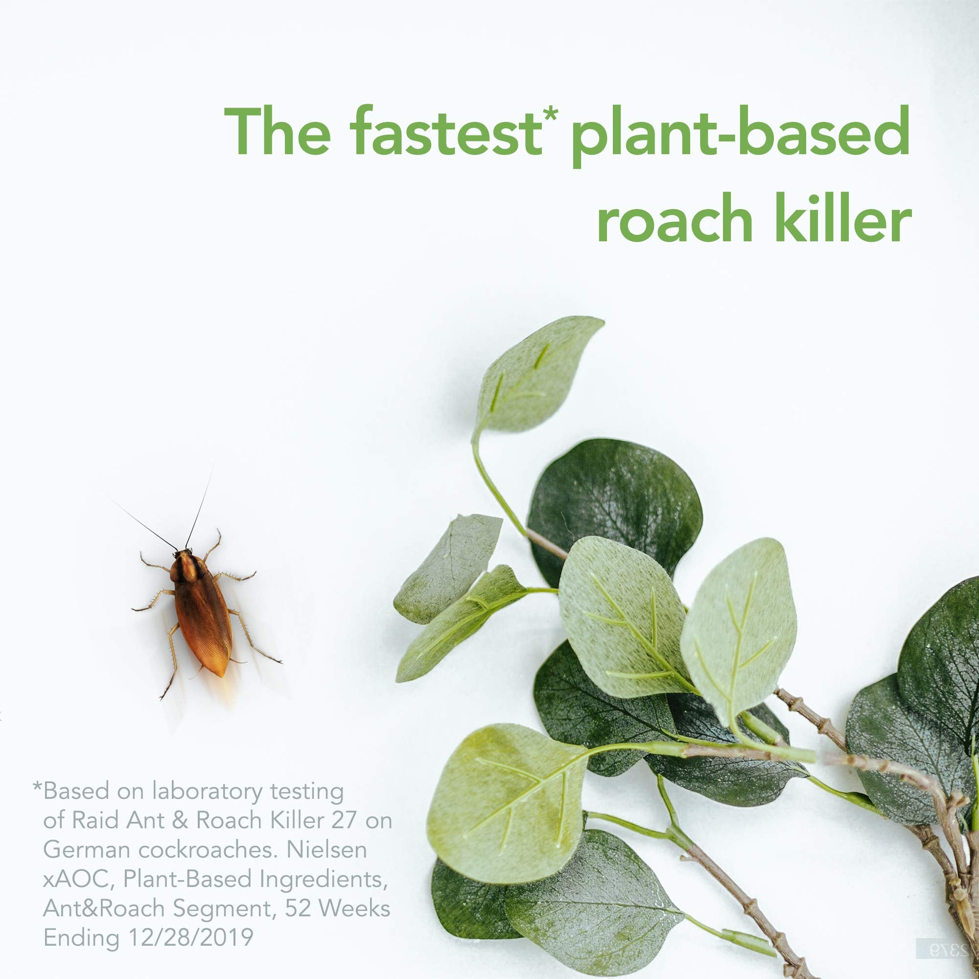 Visible spray action reaches pests for quicker coverage