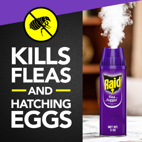 Raid Flea Fogger Plus 5oz can ready for in-room treatment.
