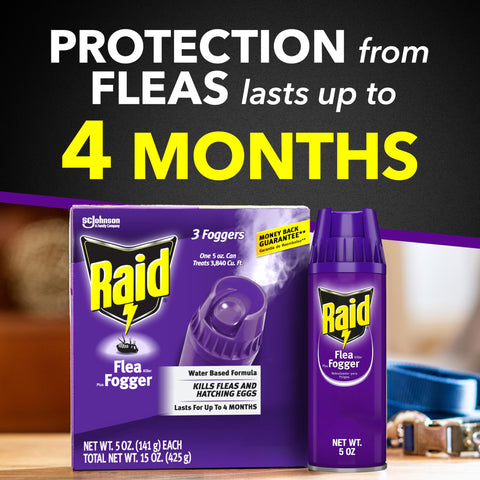 Raid Fogger Plus disperses to corners and furniture to target fleas.