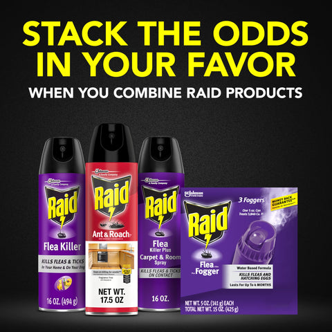 Raid branding on the can with clear usage directions.