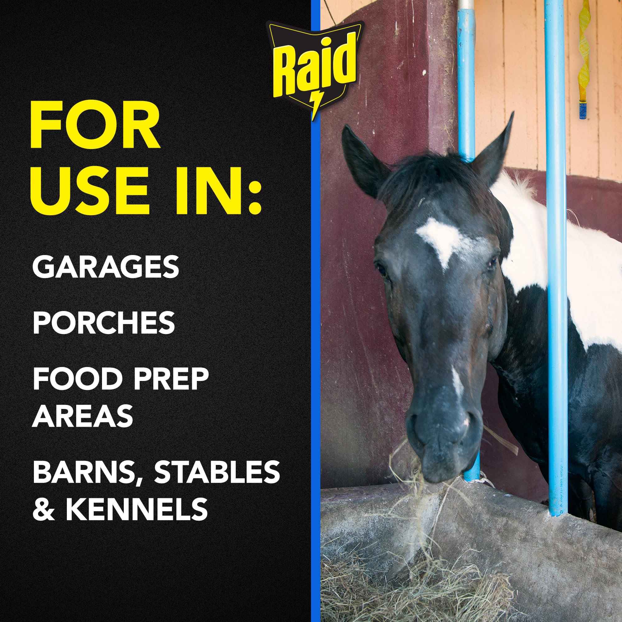 Raid FR3-RAID fly catcher ribbon packaging shows a 12 pack for multiple rooms.