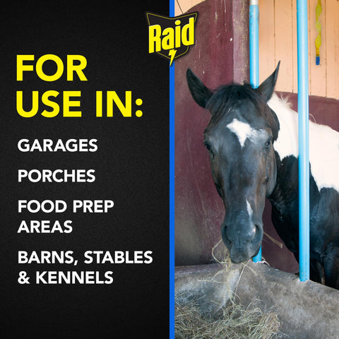 Raid FR3-RAID fly catcher ribbon packaging shows a 12 pack for multiple rooms.