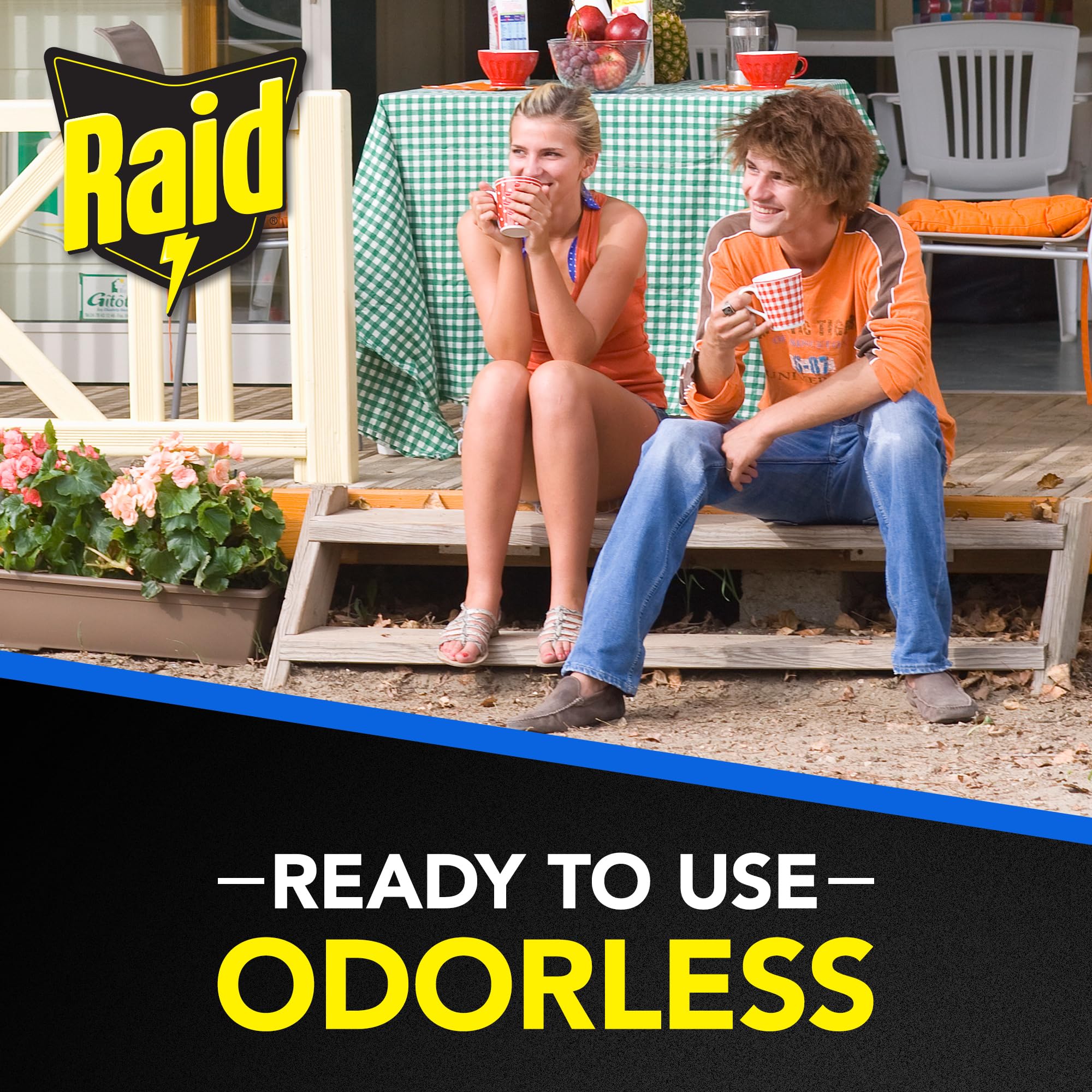 Raid FR3-RAID fly catcher ribbon visual length suggests broad coverage across spaces.