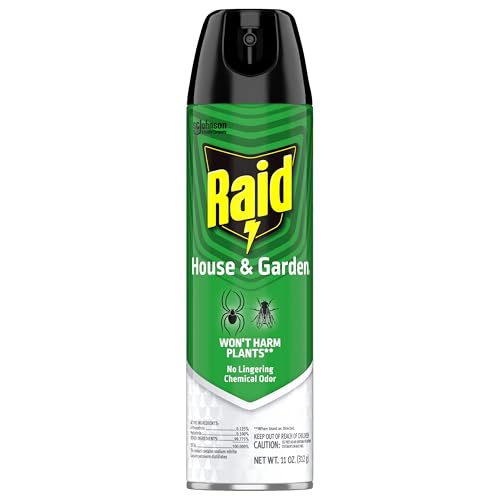 Raid House and Garden spray for home and yard defense and cleanliness.
