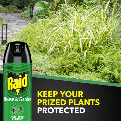 Raid House & Garden Bug Killer 3-pack provides value for home and yard