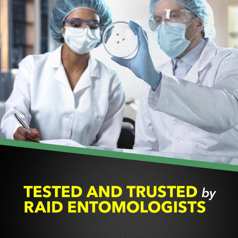 Raid House & Garden Bug Killer fast knockdown of pests on contact