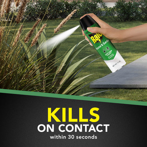 Raid House & Garden Bug Killer indoors helps control ants, roaches and spiders