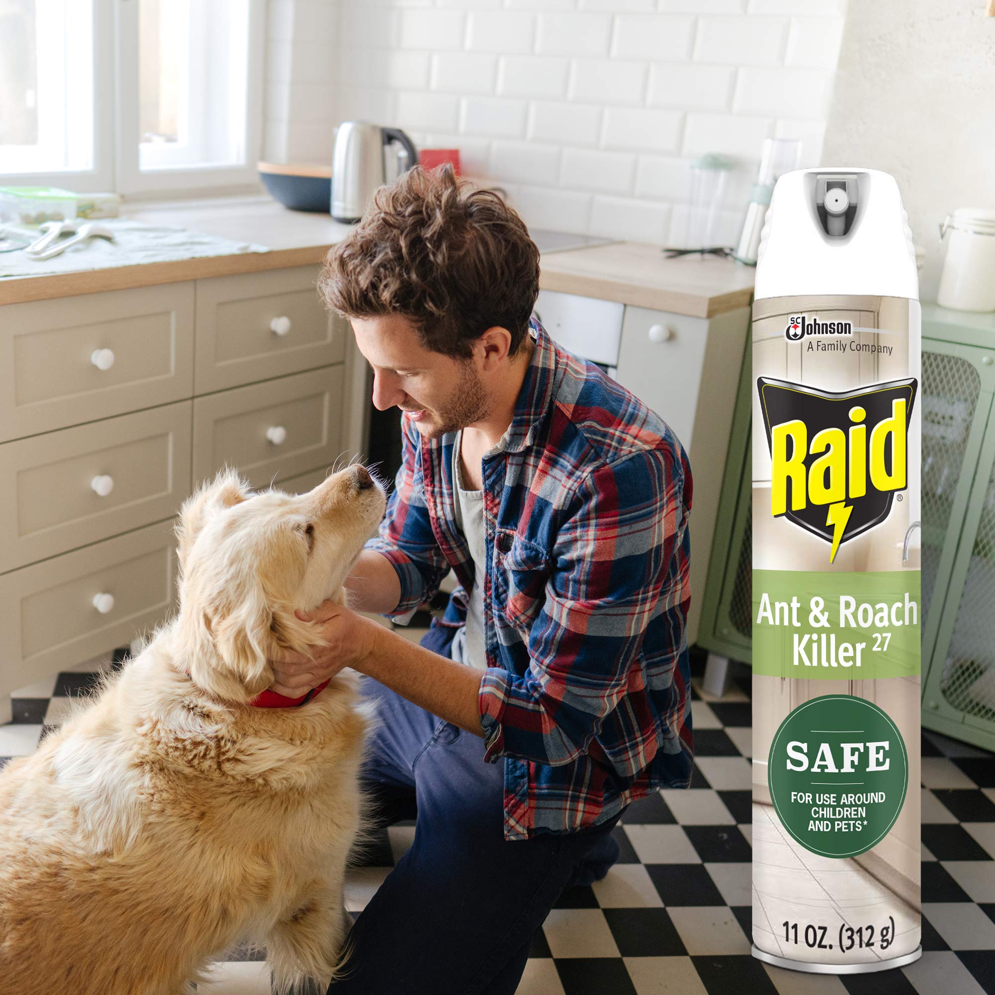 Raid indoor use in kitchen area for pest management.