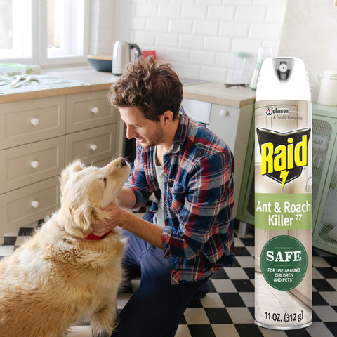 Raid indoor use in kitchen area for pest management.