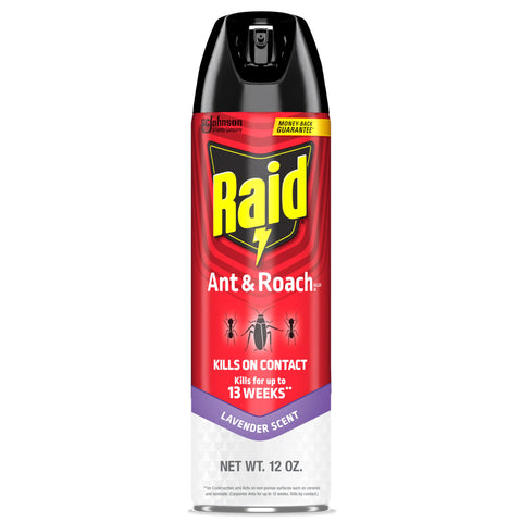Raid lavender-scent bottle ready for quick pest control.
